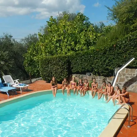 Paradisino