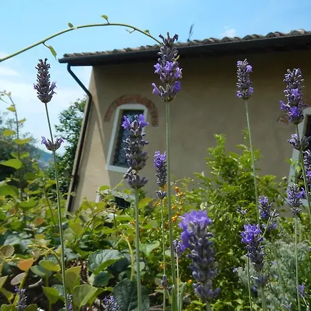 Paradisino Holiday home