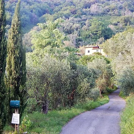 Paradisino San Giuliano Terme