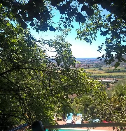 Paradisino
