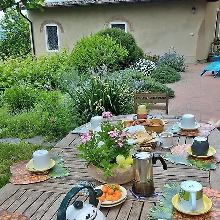 Paradisino