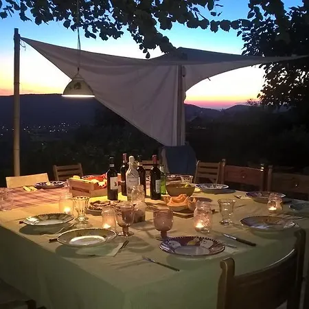 Paradisino *